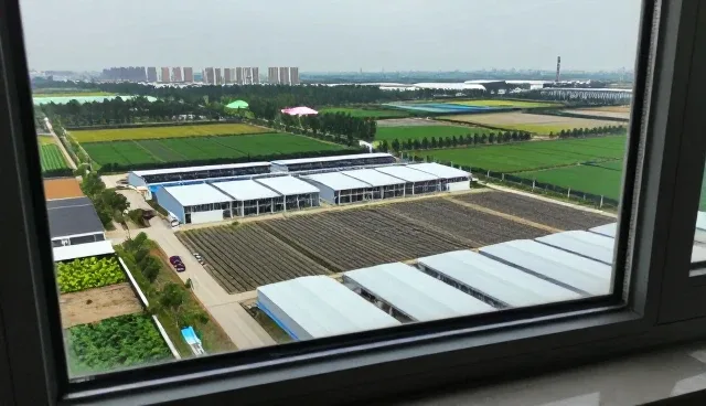 公众号开发中性能优化的常见问题与处理方法